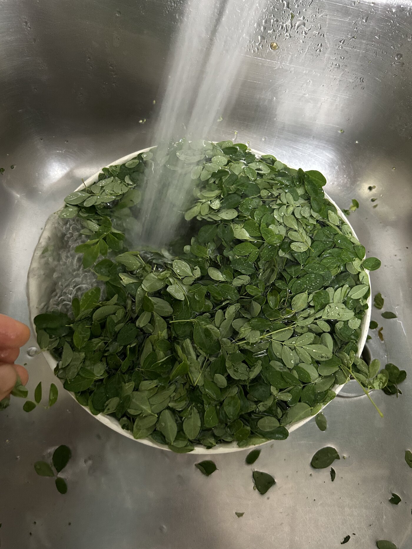 Fresh greens, washed & ready