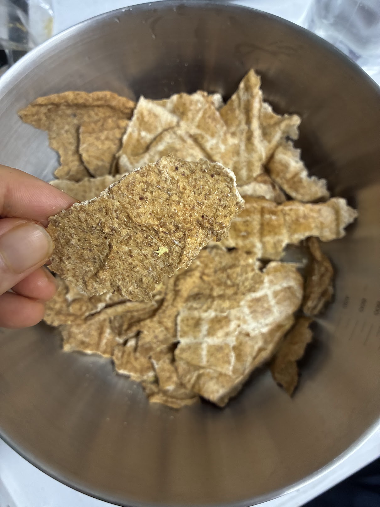 Sprouted Lentil Nacho Chips