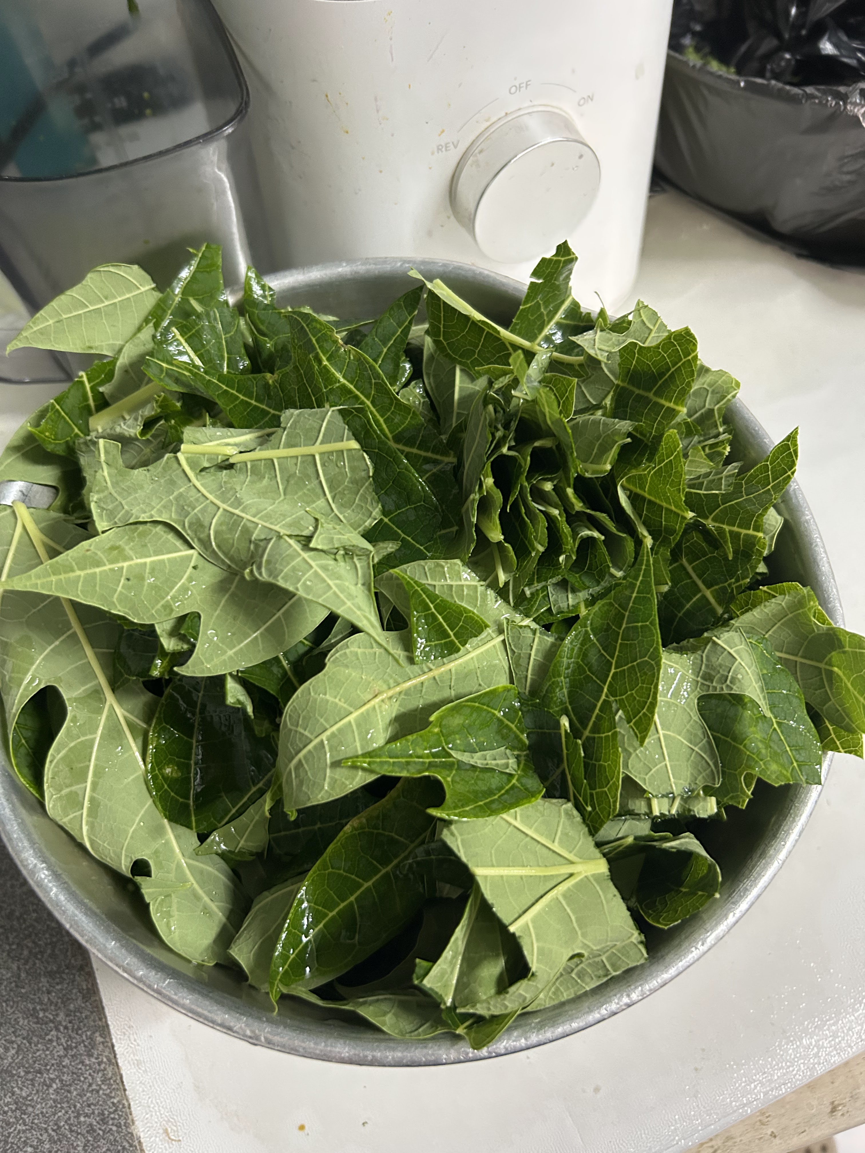 Chopped and packed for extraction